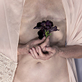 <em>Self Evidence</em> Series, 2013-2016. Photo: Frances Murray